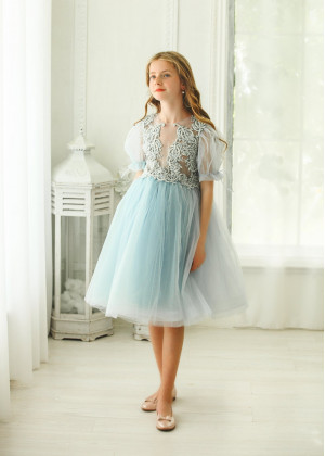 Baby Blue Embroidery Tulle Chic Flower Girl Dress